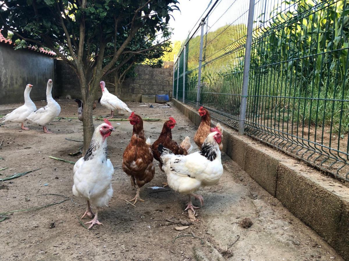 Quinta Do Avo Dimas - Rural Home - Sao Bras Porto Formoso 외부 사진